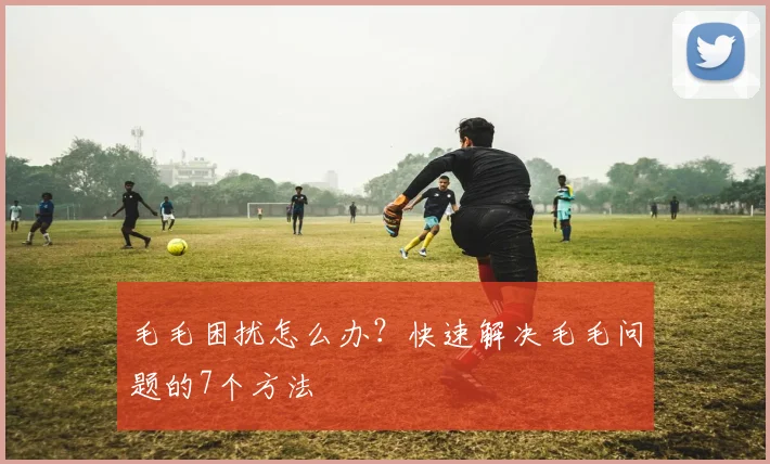 毛毛困扰怎么办?快速解决毛毛问题的7个方法